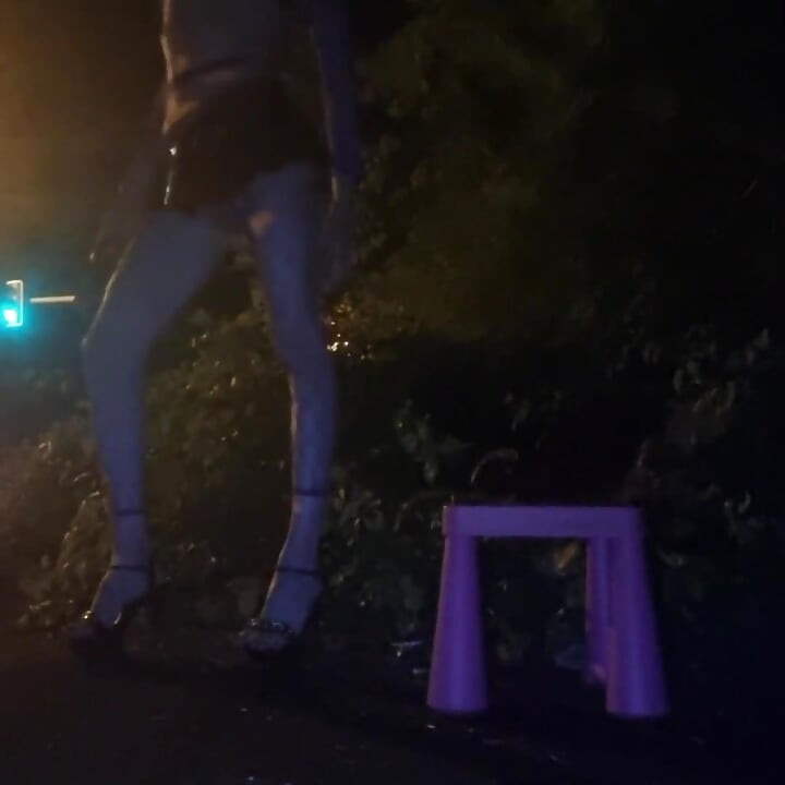 A Whore in a Mini-skirt Ras Du Cul, on the Edge of the Nationale 7 in Brunoy. 2h00 Vanessabitchx Parischiennetrvprod
