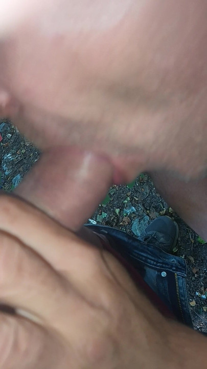 A horny cock