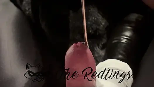 Zum ersten mal schwanz sondierungs-erfahrung mit kleinem schwanz