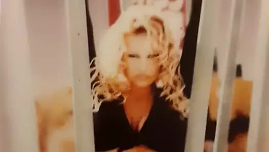 PamelAnderson