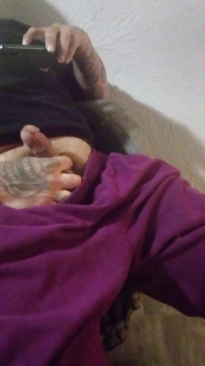White cock