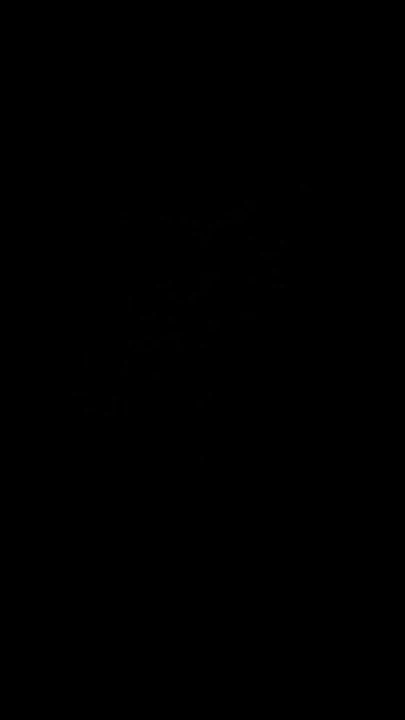 Ma black