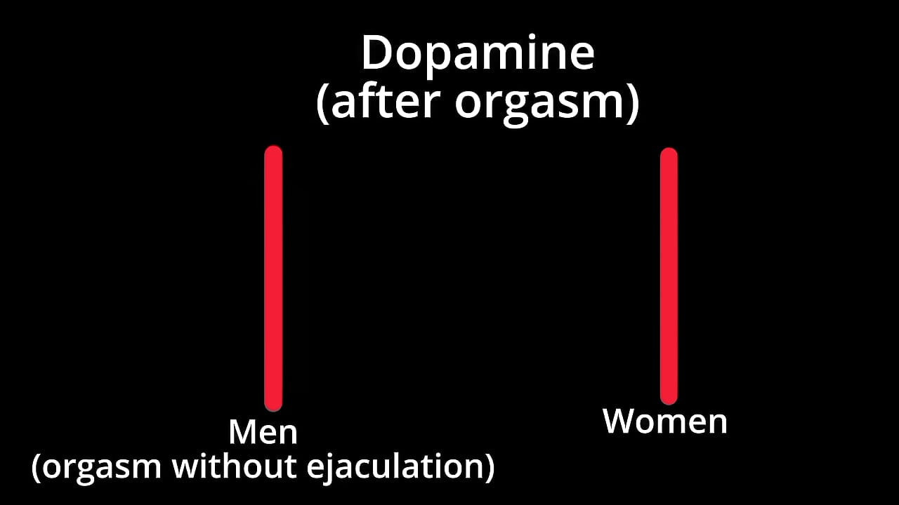 The science behind male multiple orgasms