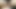 Stepsister Wants to get Pregnant from Me and Lets me Cum Inside