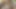 Bbcラフアナル