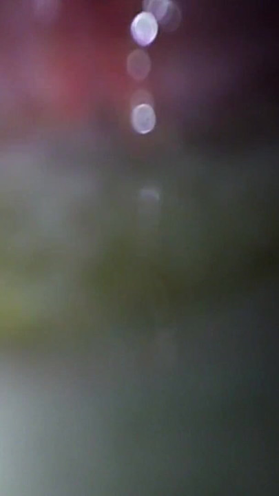 来自“阿迪达斯杰里米·斯科特运动鞋爱我的精液的必分享时刻 - 第2部分”