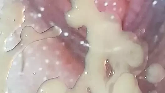 Seksi bir kediye haraç