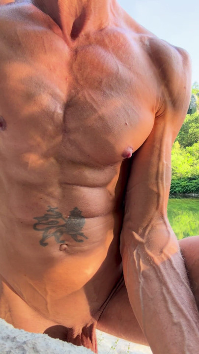 muscle venes light and sunset