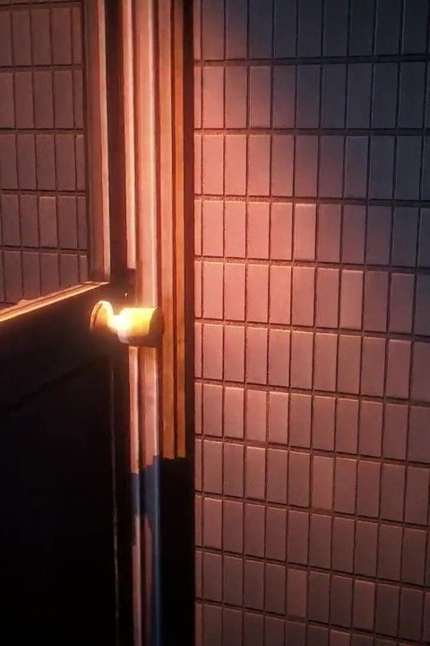 Wuthering Waves - Glory Hole Girls (remielle, Aemeath and Cyrene) - 3D Hentai Animations