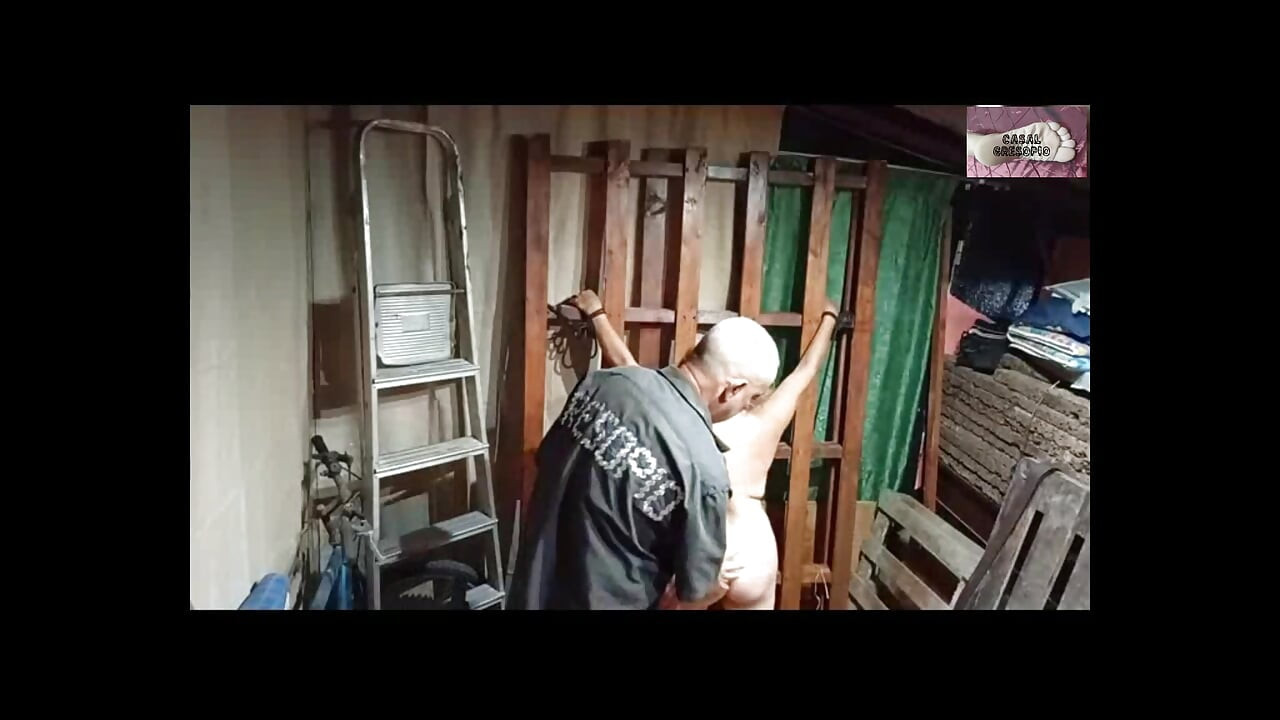 נשלטת ומזדיינת