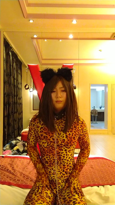 Japanese cd change leopard from black cat | Clip 2