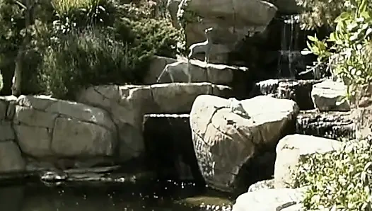 Heiße Schulmädchen in Aktion