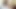 Bareback Beauties - Part #2 - 100% Bareback