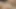 POV - Spex slut Elena Lux is a horny fuck babe