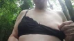 Video pregled