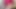 Hard naked titslapping scenes