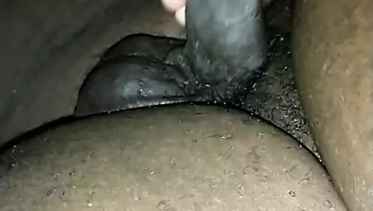 okşayarak şişman siyah horoz