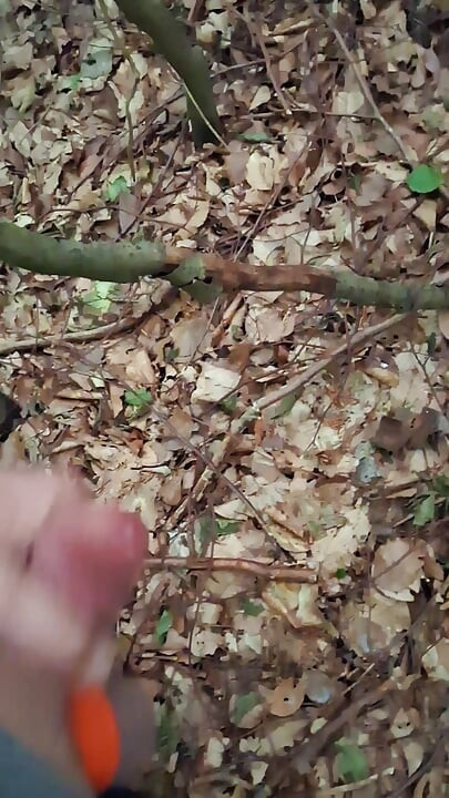 Tekanan dilepaskan di hutan