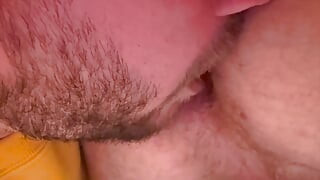 FapHouse