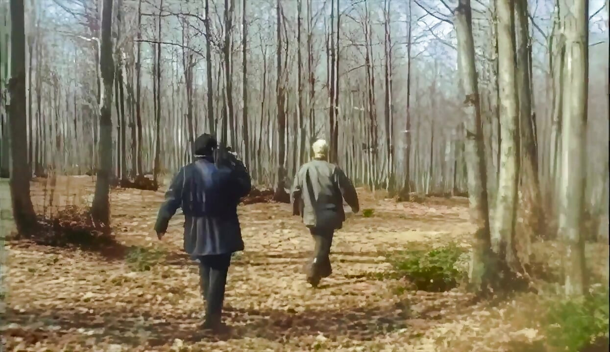 Anal Orgy in the Woods