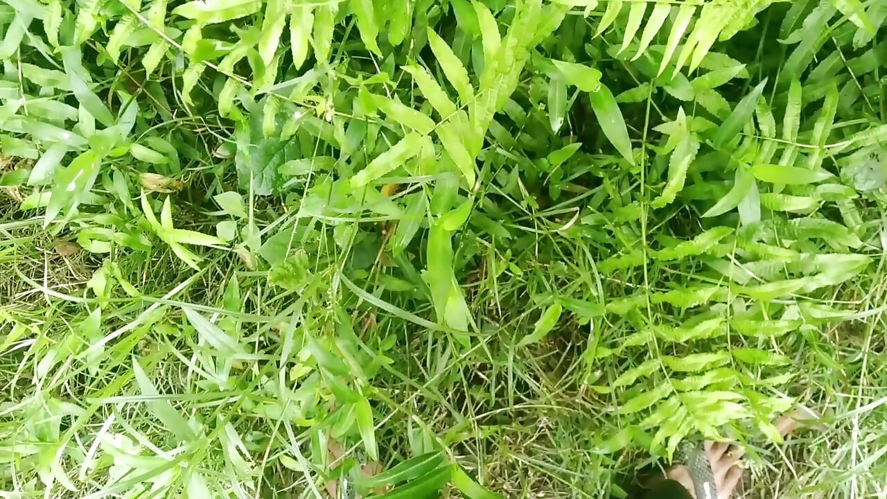 ควยใหญ่ชักว่าวในสวนสวย