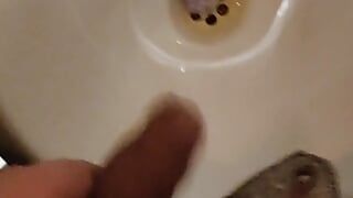 Urso macho no banho quente compilação