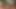 Anal-gruppensex mit der brünetten und blonden milfs, die sich nach doppelpenetration sehnen, findet auf der Außenterrasse statt
