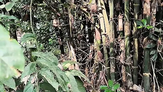 Тихая красотка моего сада