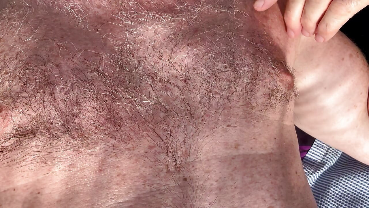 IN THE FURRY DUNES PART 2