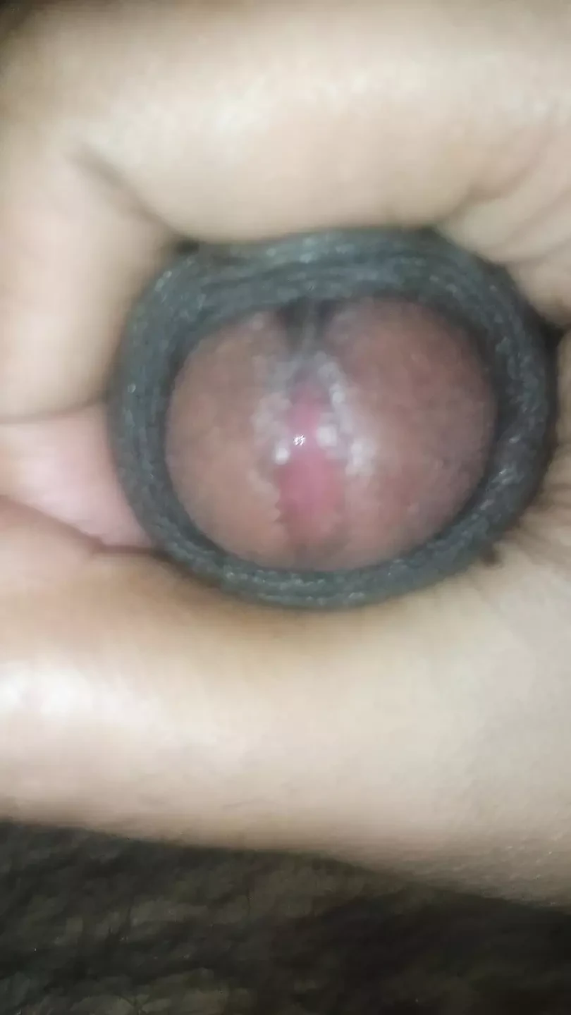 German hairy big hard cock close up hardest jerking