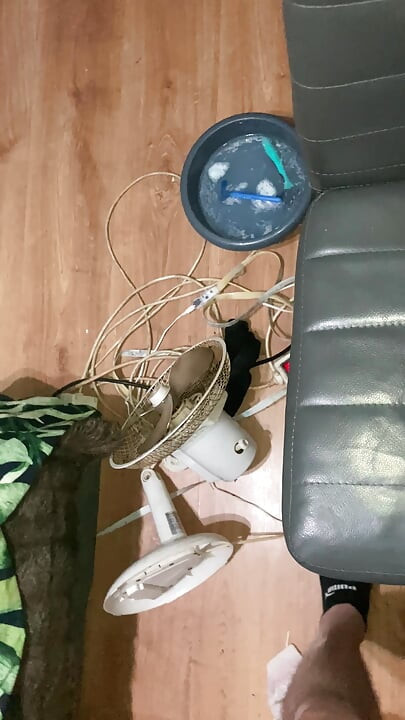 Ejaculação sozinha