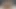 Poppy pleasure seni ve seksi kız arkadaşını boşaltmak istiyor