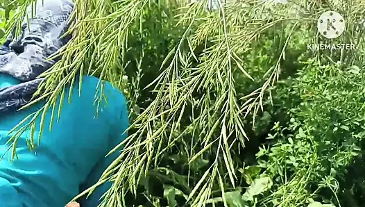 Meine schwägerin im doggystyle in einem senffeld auf der ganga-bank gefickt.