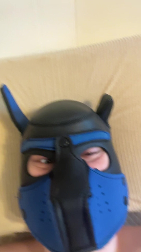 just a silly pup