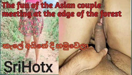 La diversión de la pareja asiática se encuentra en el borde del bosque