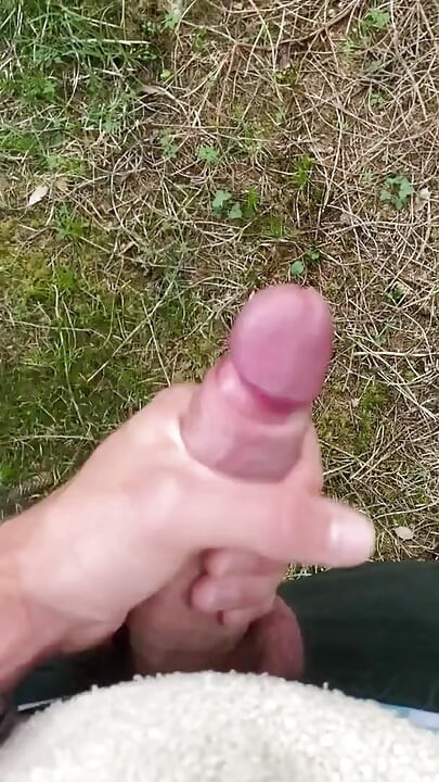 Élvezés az erdőben