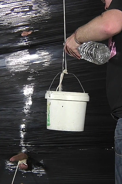 Pallet Wrapped