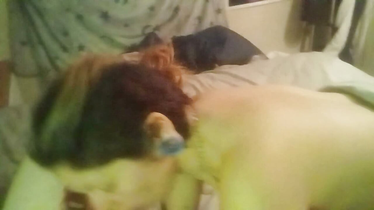 20250207 101535 3.mp4