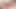 japanese lady 2