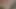 Pakistanlı dasi köylü kızlar videoları pthain