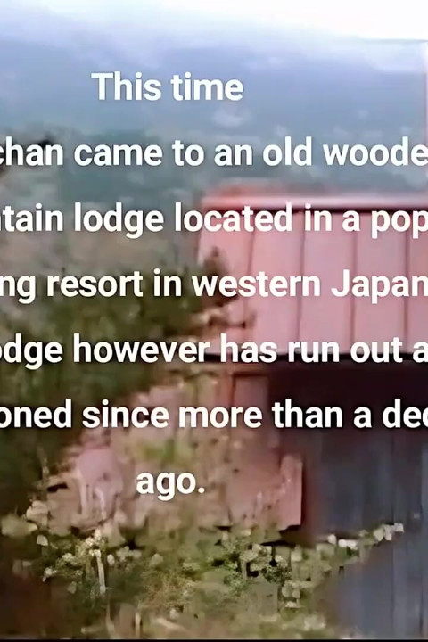 Memory of Pai-chan's Young Days
