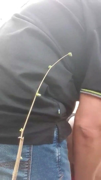 Morate podijeliti trenutak iz "Seksi bljesak na mjestu uhićenja na autocestama (Wood)"