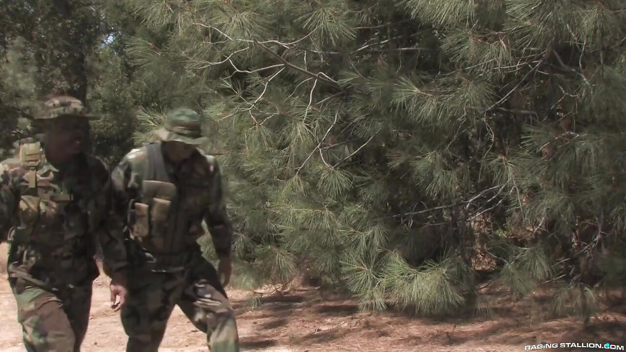 Grunts Stepbrothers in Arms