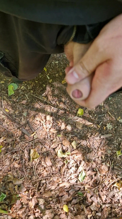 Im wald cum 3