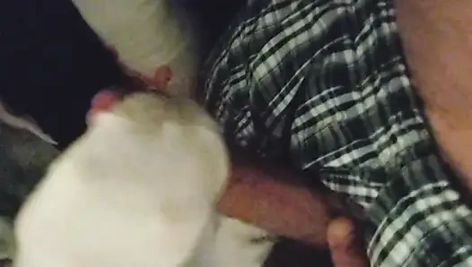 Sexy Little White Ankle Socks Handjob Sockjob
