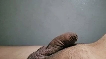Small Dick