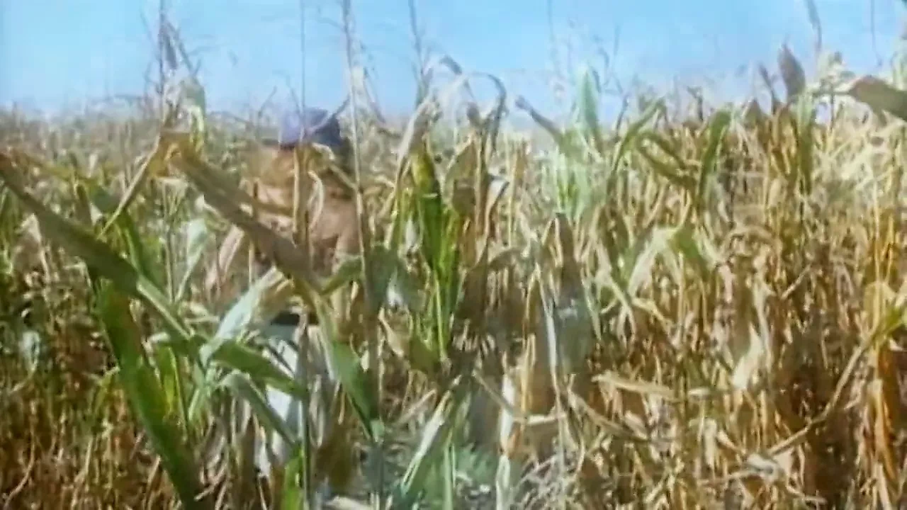 Pornogrusse Aus Der Lederhose