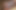 Hot Cumshot Compilation Porn Video of Black Cock Jerking off and Cumming on SSBBW Big Fat Pussy, Huge Ass, Tits and Panties