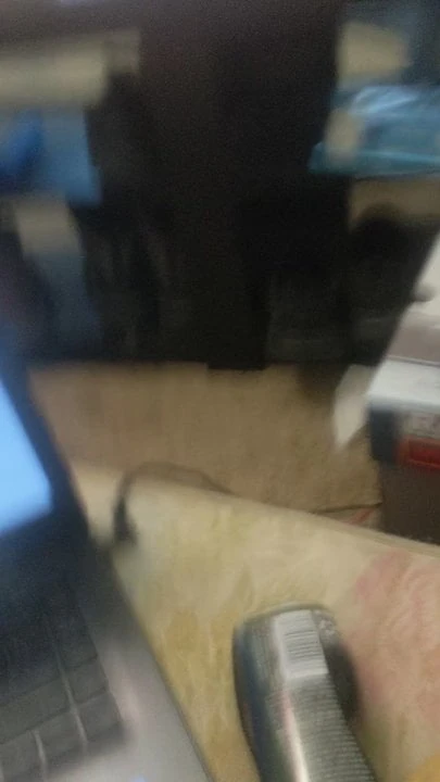 Porn day