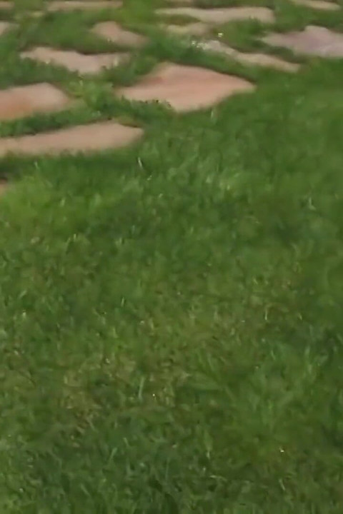 Bezobrazna Kurva Skače na Velikom Kurcu na Kauču